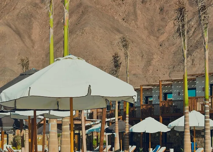 Crazy Horse Camp * Nuweiba`
